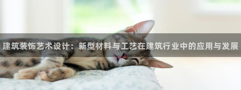 顺盈娱乐主管=天神779O3：建筑装饰艺术设计：新型材料与工