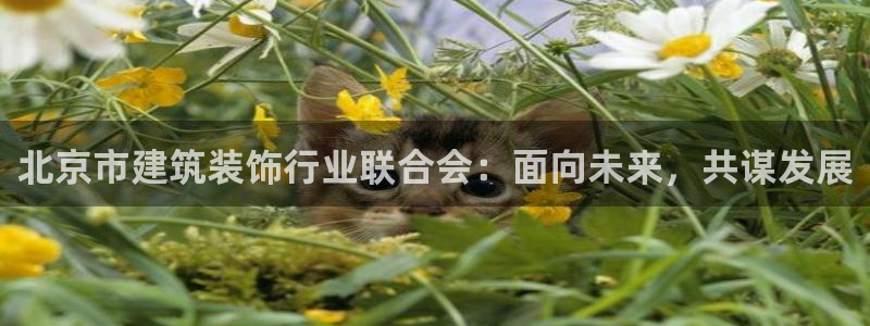 顺盈娱乐在线注册不了