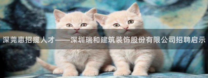 顺盈娱乐官网登录：深莞惠招揽人才——深圳瑞和建筑装饰股份有限