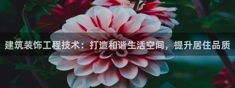 顺盈娱乐最高代理是谁啊