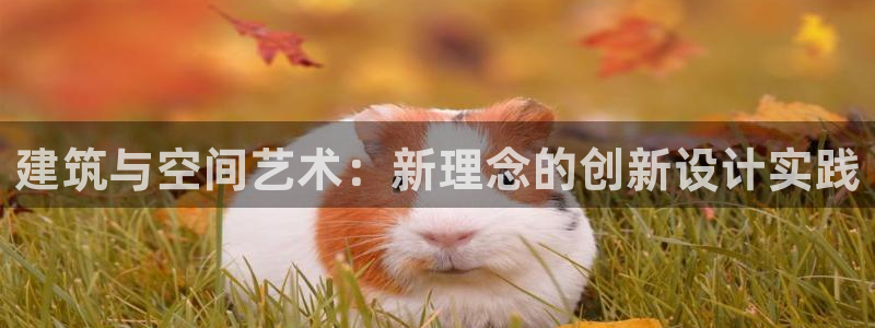 顺盈2娱乐找qv382223