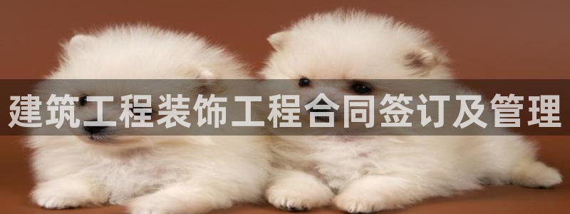 顺盈娱乐在线开户
