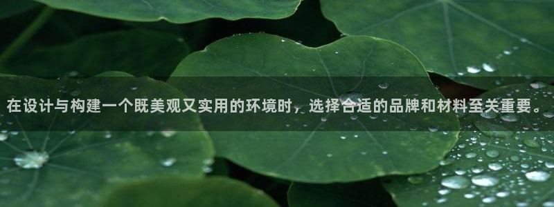 顺盈娱乐棋牌怎么样啊