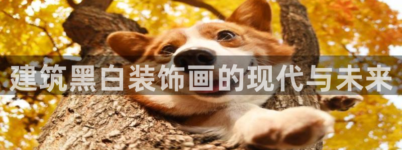 顺盈娱乐队究7276O