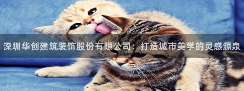 顺盈娱乐