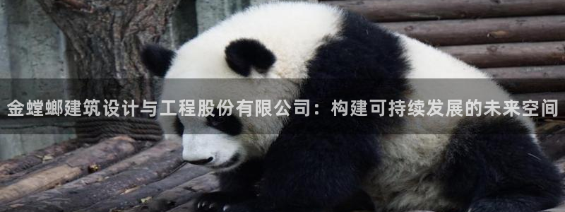 清远顺盈娱乐公司推荐