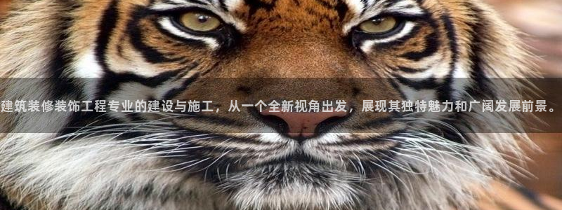 顺盈娱乐最高代理是谁呀