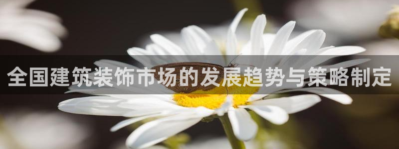 顺盈娱乐招商