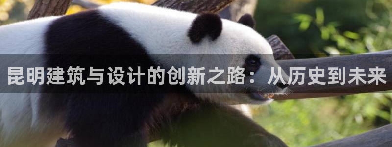 顺盈娱乐322901