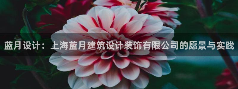 顺盈娱乐平台下载