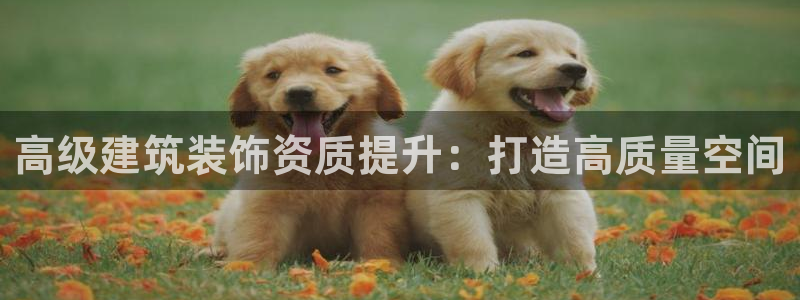 顺盈娱乐行求威判官333OO