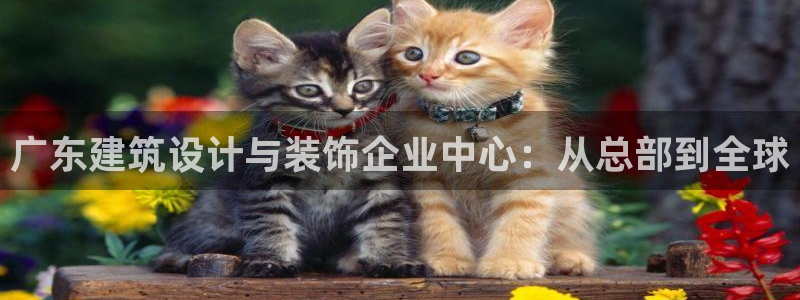 顺盈娱乐推344k.com
