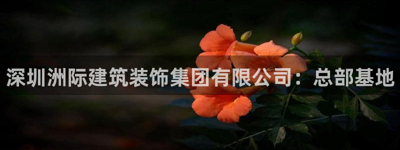 顺盈娱乐那家公司旗下