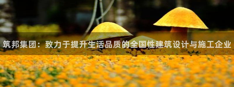 顺盈娱乐游戏开发商