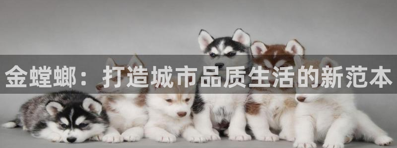 顺盈娱乐团购怎么样