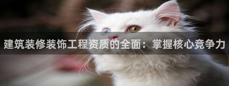 顺盈平台娱乐怎么样啊
