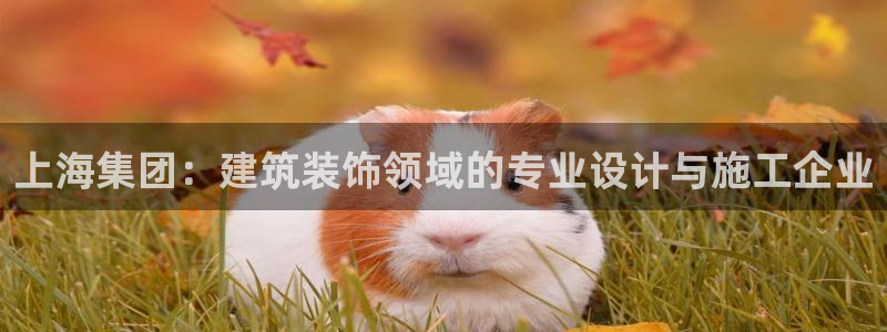 顺盈娱乐官网首页