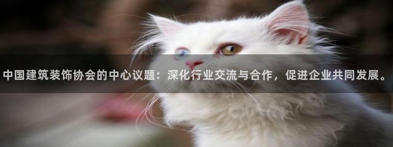 清城区顺盈娱乐会所电话