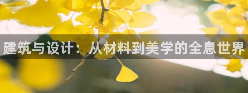 盈顺娱乐休闲室怎么样