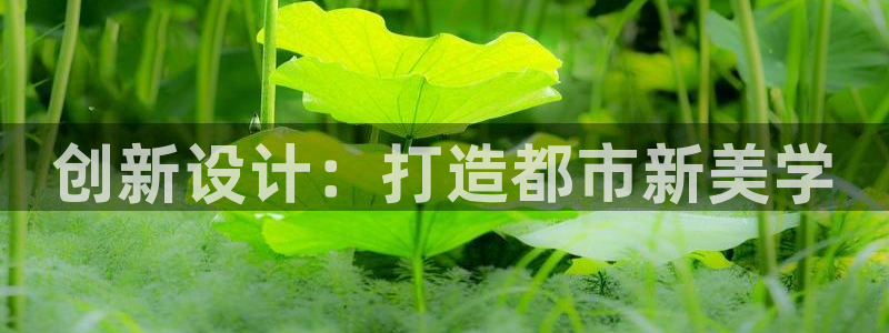 清远顺盈娱乐集团怎么样