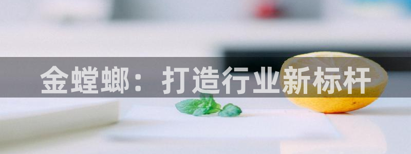 清远顺盈娱乐公司实习