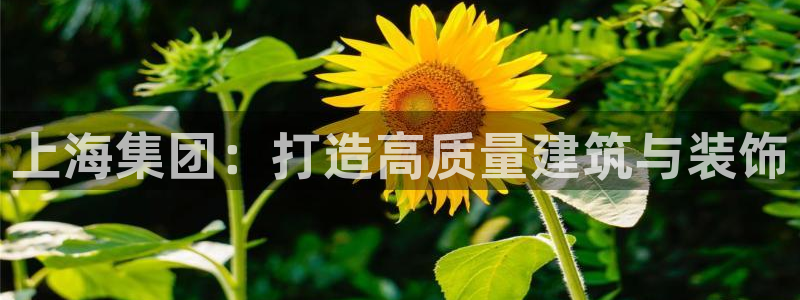 顺盈娱乐最高代理是谁呀