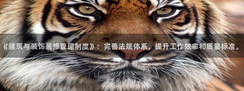 顺盈娱乐28是什么