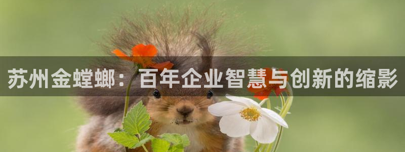 清远顺盈娱乐公司