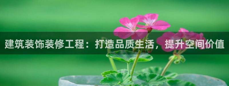 顺盈娱乐平台官网电话