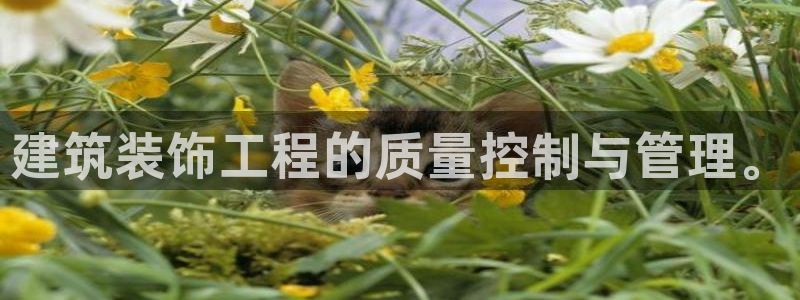 应县盈顺休闲娱乐室