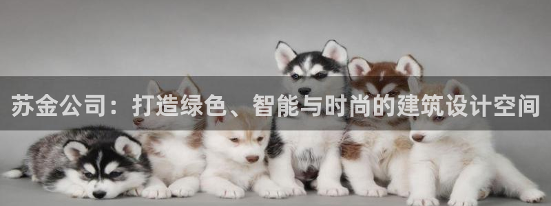 顺盈娱乐平台代理多少钱