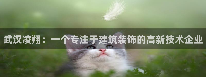 顺盈娱乐注册q779O3唐老鸭