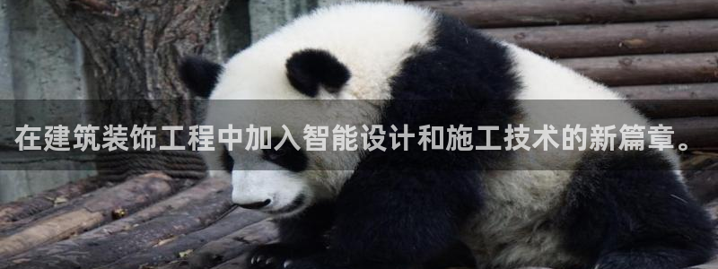 顺盈娱乐代理怎么样