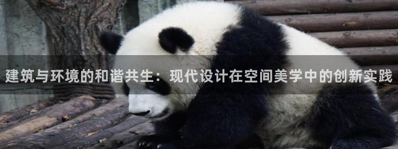 顺盈娱乐代理怎么样做