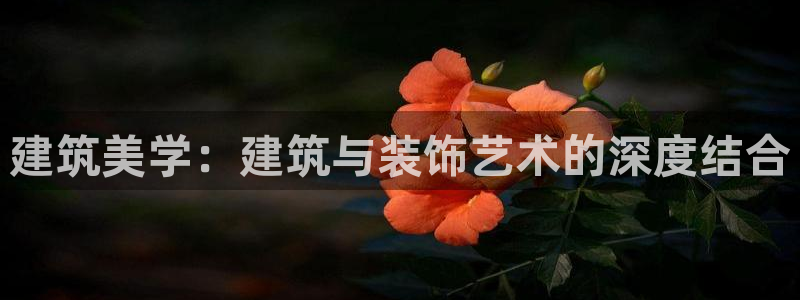 顺盈娱乐招商低判官333OO